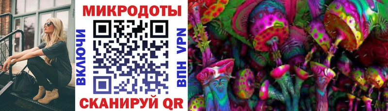 купить закладку  площадка как зайти  Псилоцибиновые грибы Psilocybine cubensis  Шарыпово  KRAKEN как войти 